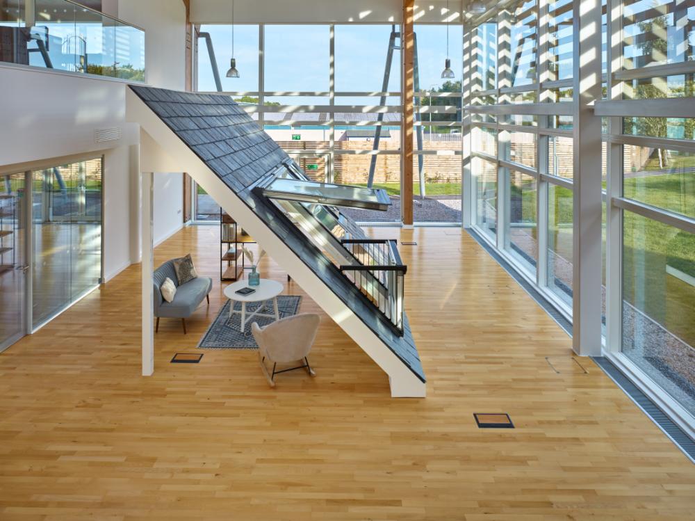 Beech - 2 strip Wooden flooring